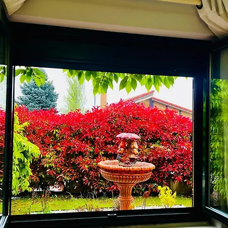 El Encanto De Navas *