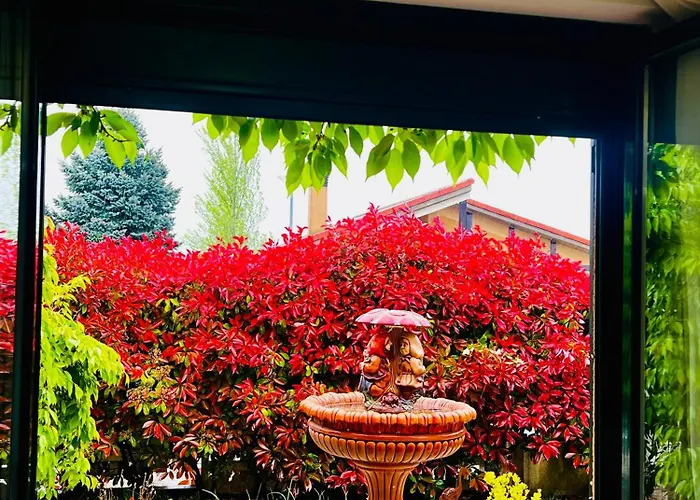 El Encanto De Navas *