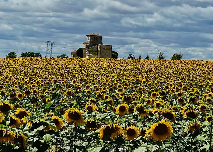 El Encanto De Navas Бургос